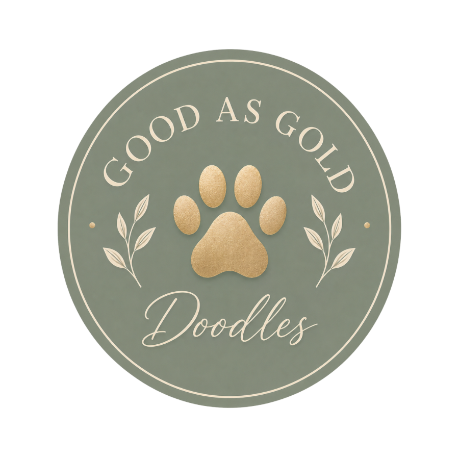 Good as Gold Doodles logo, GANA certified goldendoodle breeder in Baltimore Maryland